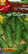 Cucumbers varieties Serpantin Photo and characteristics