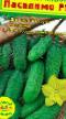 Cucumbers varieties Pasalimo F1 Photo and characteristics