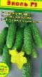 Cucumbers varieties Ehkol F1 Photo and characteristics