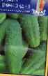 Cucumbers varieties Grenlandiya F1 Photo and characteristics