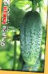 Cucumbers  Ehliza F1 grade Photo