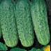 Cucumbers varieties Dubljor F1 Photo and characteristics