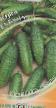 Cucumbers varieties Butuz F1 Photo and characteristics