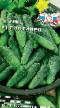 Cucumbers varieties Gostinec F1 Photo and characteristics