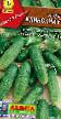 Cucumbers varieties Klinskijj F1 Photo and characteristics