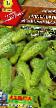 Cucumbers varieties Malenkijj volshebnik F1 Photo and characteristics