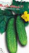 Cucumbers varieties Bimbo star F1  Photo and characteristics