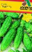 Cucumbers varieties Poni F1 Photo and characteristics