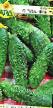 Cucumbers varieties Syuzanna F1 Photo and characteristics
