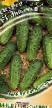 Cucumbers varieties Zanachka F1 Photo and characteristics