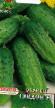 Cucumbers varieties Gvidon F1  Photo and characteristics