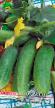 Cucumbers varieties Magnat F1  Photo and characteristics