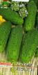 Cucumbers  Olesya F1  grade Photo