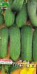 Cucumbers varieties Traktir F1  Photo and characteristics