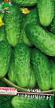 Cucumbers  Chernomor F1  grade Photo