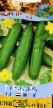 Cucumbers  Karnak F1  grade Photo