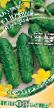 Cucumbers varieties Yuzhnyjj izumrud F1 Photo and characteristics