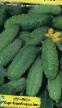 Cucumbers varieties Germes F1 Photo and characteristics