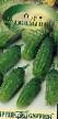 Cucumbers  Obilnyjj grade Photo