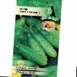 Cucumbers varieties Zhavoronok f1 Photo and characteristics