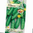 Cucumbers  Malyuta f1 grade Photo