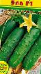 Cucumbers  Ehla F1 grade Photo