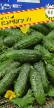 Cucumbers varieties Parker F1  Photo and characteristics