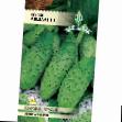Cucumbers varieties Anshlag F1 Photo and characteristics