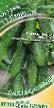 Cucumbers varieties Kapital F1 Photo and characteristics