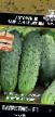 Cucumbers varieties Bagration F 1 Photo and characteristics