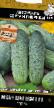 Cucumbers varieties Ivan Carevich F1 Photo and characteristics