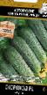 Cucumbers varieties Skorokhod F1  Photo and characteristics