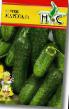 Cucumbers varieties Maresa F1 Photo and characteristics