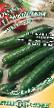 Cucumbers varieties Moskovskijj salatnyjj F1 Photo and characteristics