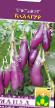 Eggplant  Balagur  grade Photo