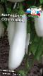 Eggplant varieties Sosulka Photo and characteristics