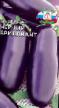 Eggplant varieties Chernyjj Brilliant Photo and characteristics