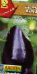 une aubergine  Vikar l'espèce Photo