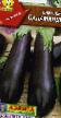 Eggplant varieties Salamandra Photo and characteristics