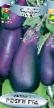 Eggplant varieties Robin Gud  Photo and characteristics