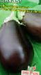 Eggplant varieties Dialog Photo and characteristics