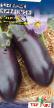 Eggplant  Syurpriz grade Photo