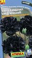 Gartenblumen Nelke, Dianthus caryophyllus schwarz Foto