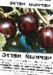 Gooseberry varieties Chernyjj negus Photo and characteristics