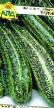 Le zucchine  Tapir la cultivar foto