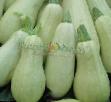 Le zucchine le sorte Oniks foto e caratteristiche