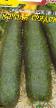 Calabacines  Korol gryadok variedad Foto