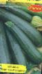 Courgettes varieties Vodopad F1 Photo and characteristics