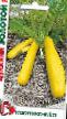 Courgettes varieties Zolotojj F1 Photo and characteristics