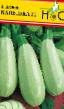 Le zucchine  Kapelka f1 la cultivar foto